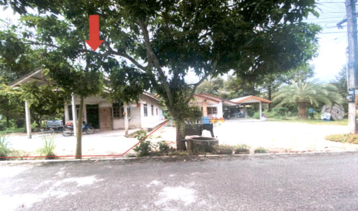 บ้านเดี่ยว สุราษฎร์ธานี บ้านนาสาร ลำพูน 1414650