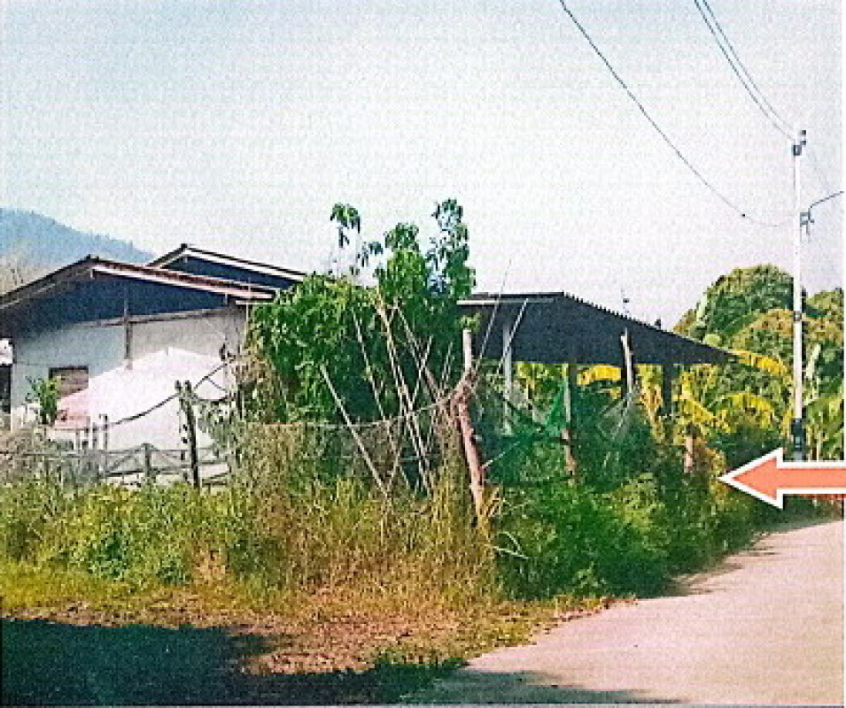 บ้านเดี่ยว ลำพูน แม่ทา ทาปลาดุก 400150