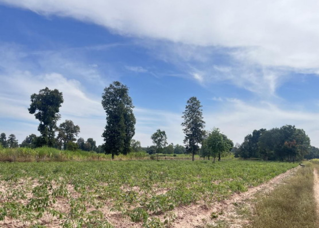 Residential land/lot Maha Sarakham Borabue Borabue 1271600