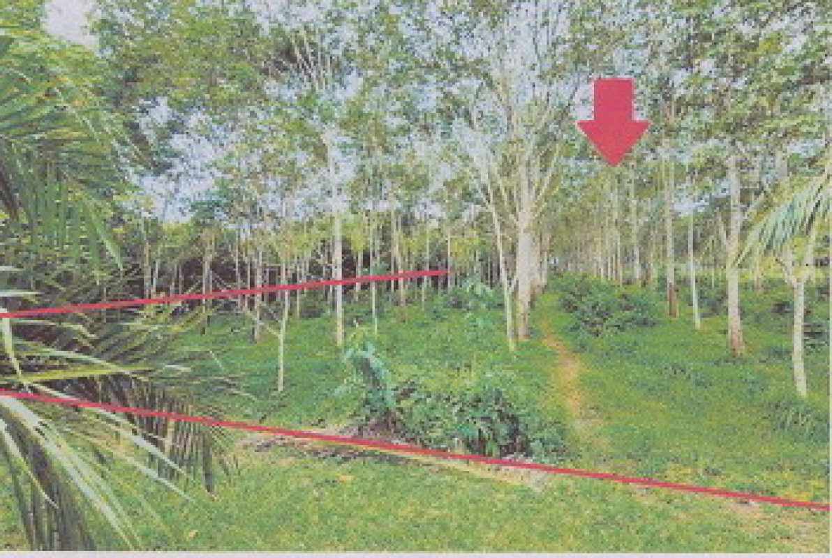 Residential land/lot Trang Mueang Trang Thap Thiang 517200