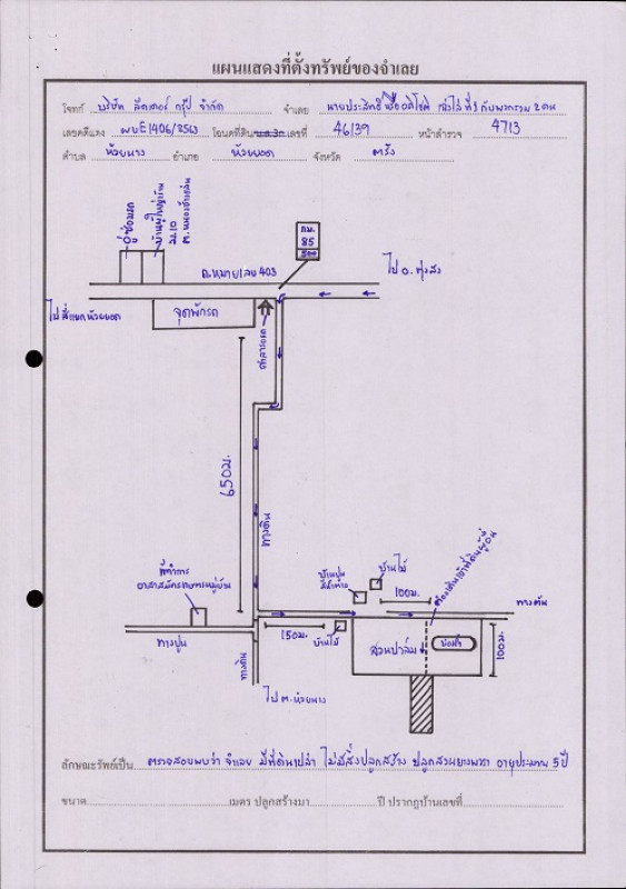 Residential land/lot Trang Mueang Trang Thap Thiang 517200