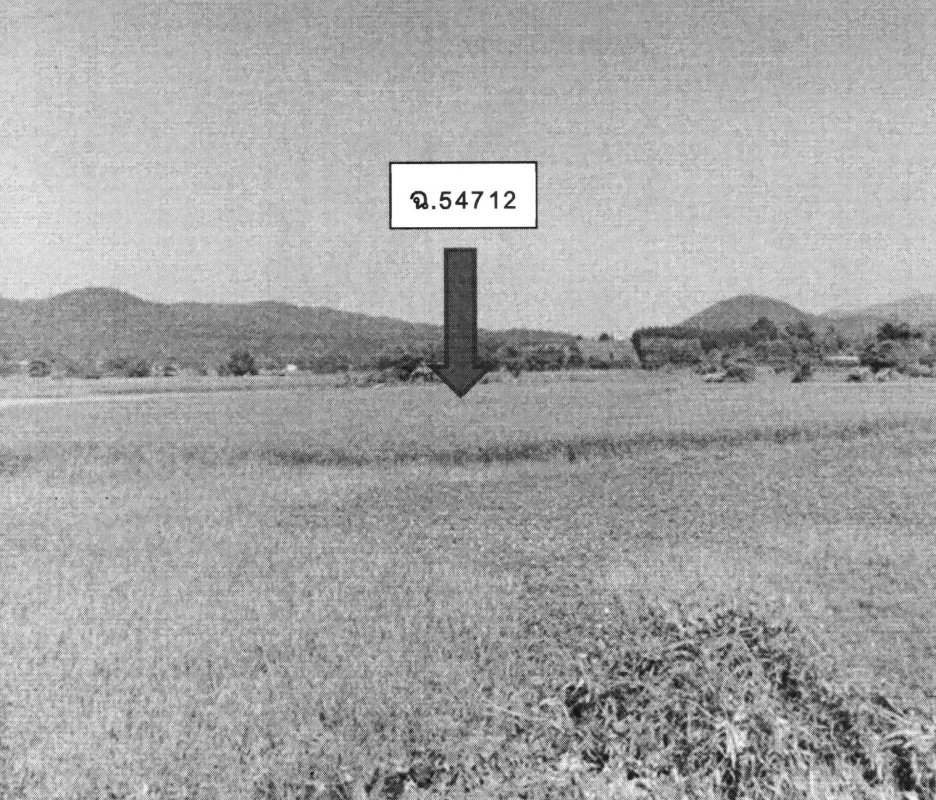 Residential land/lot Chiang Rai Thoeng Ngao 114800