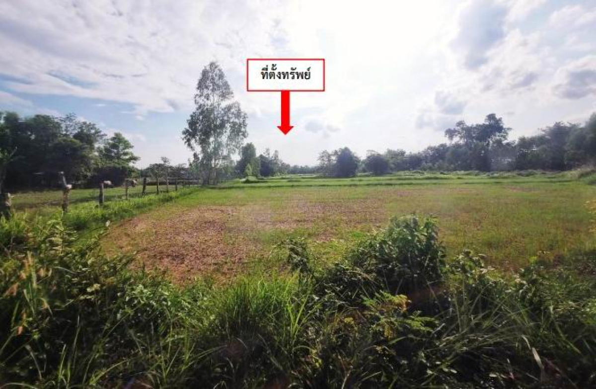 Residential land/lot Udon Thani Ban Dung Thon Na Lap 547500