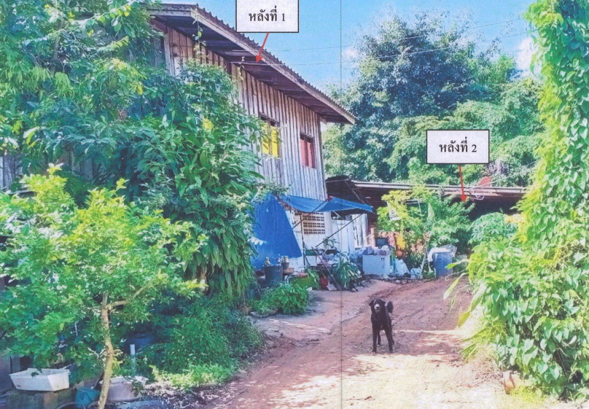 ทาวน์เฮ้าส์ พะเยา เมืองพะเยา แม่กา 301670