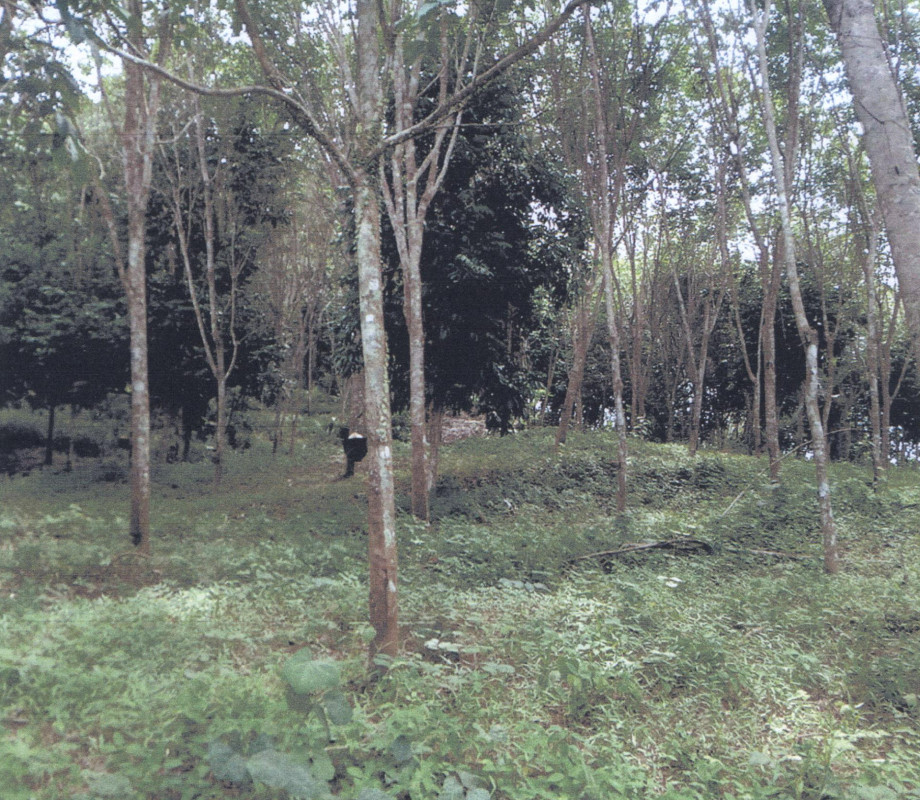 Residential land/lot Nakhon Si Thammarat Nopphitam Krung Ching 356000
