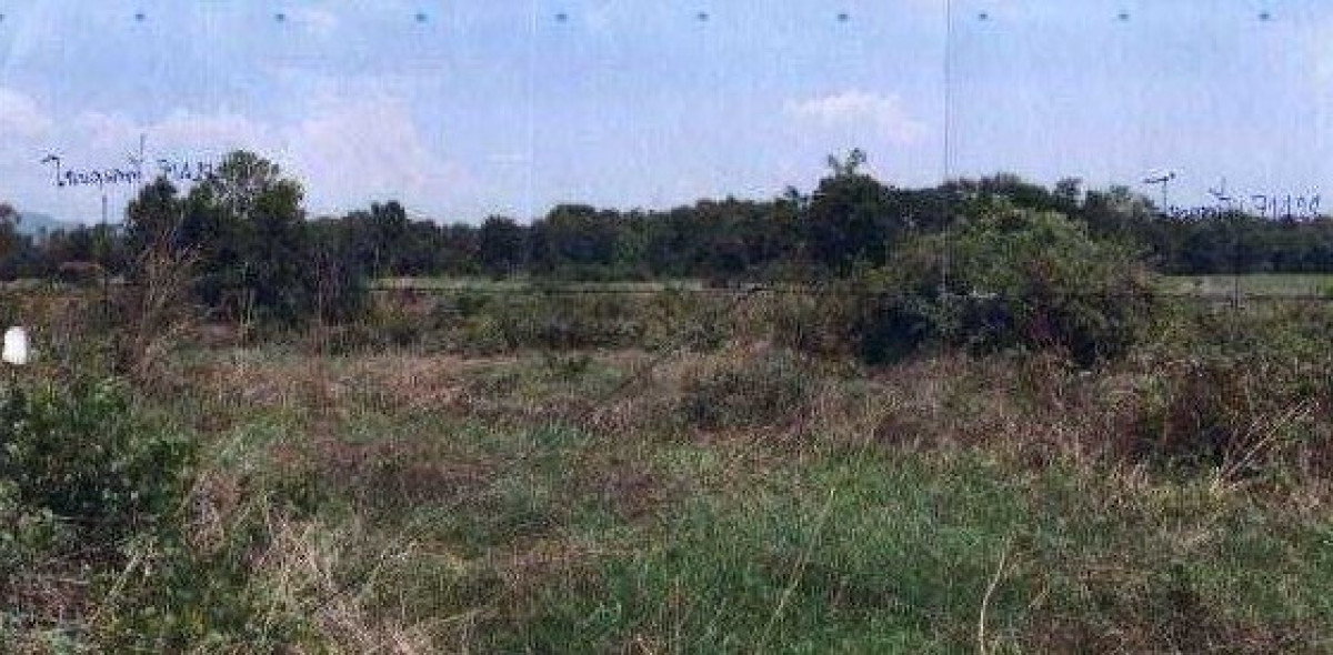 Residential land/lot Phetchabun Mueang Phetchabun Sadiang 210000