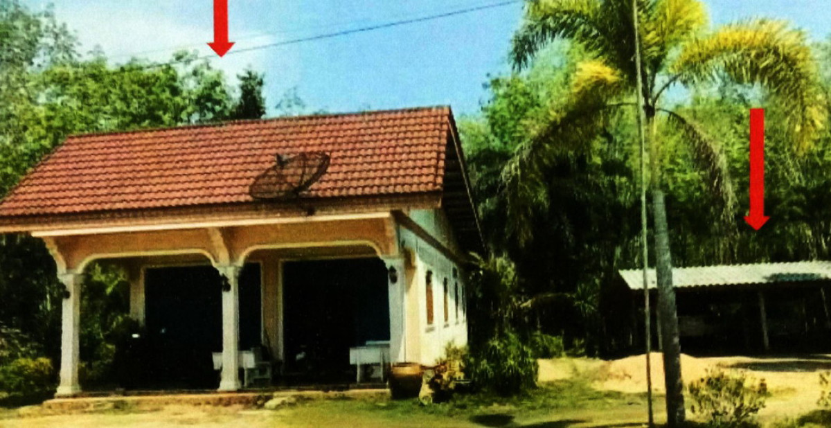 บ้านเดี่ยว สุราษฎร์ธานี เวียงสระ ทุ่งหลวง 2779856