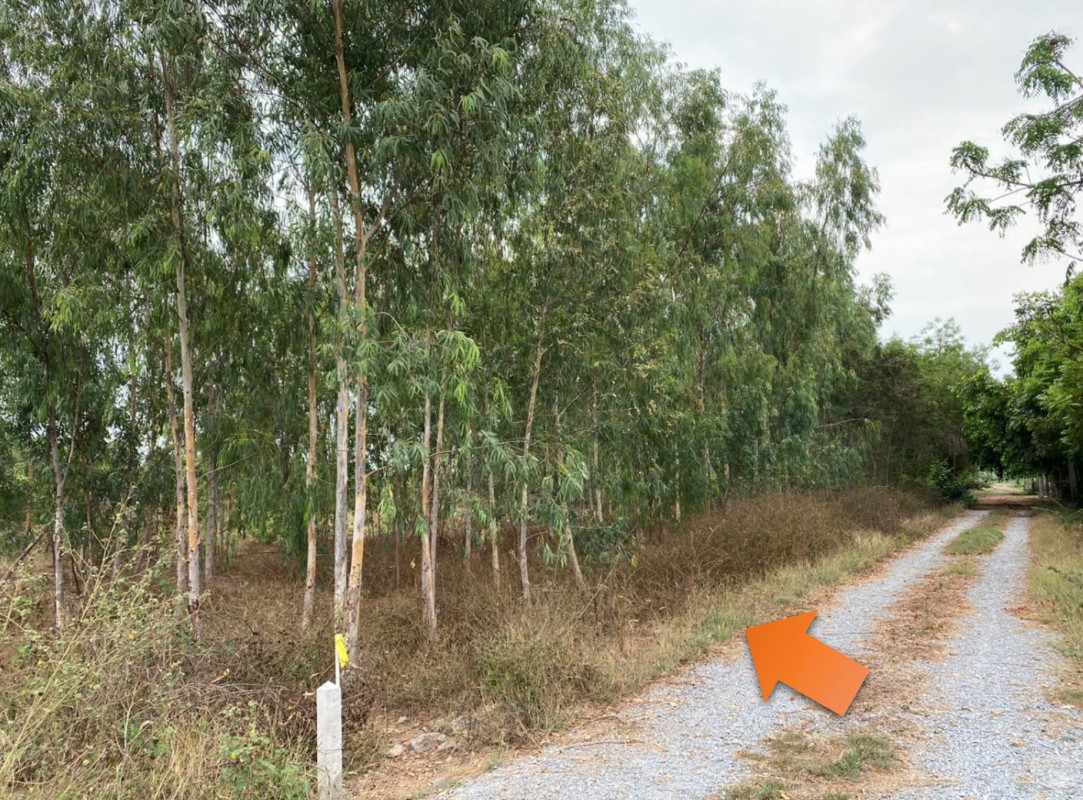 ที่ดินเปล่า สุพรรณบุรี เมืองสุพรรณบุรี ไผ่ขวาง 183000