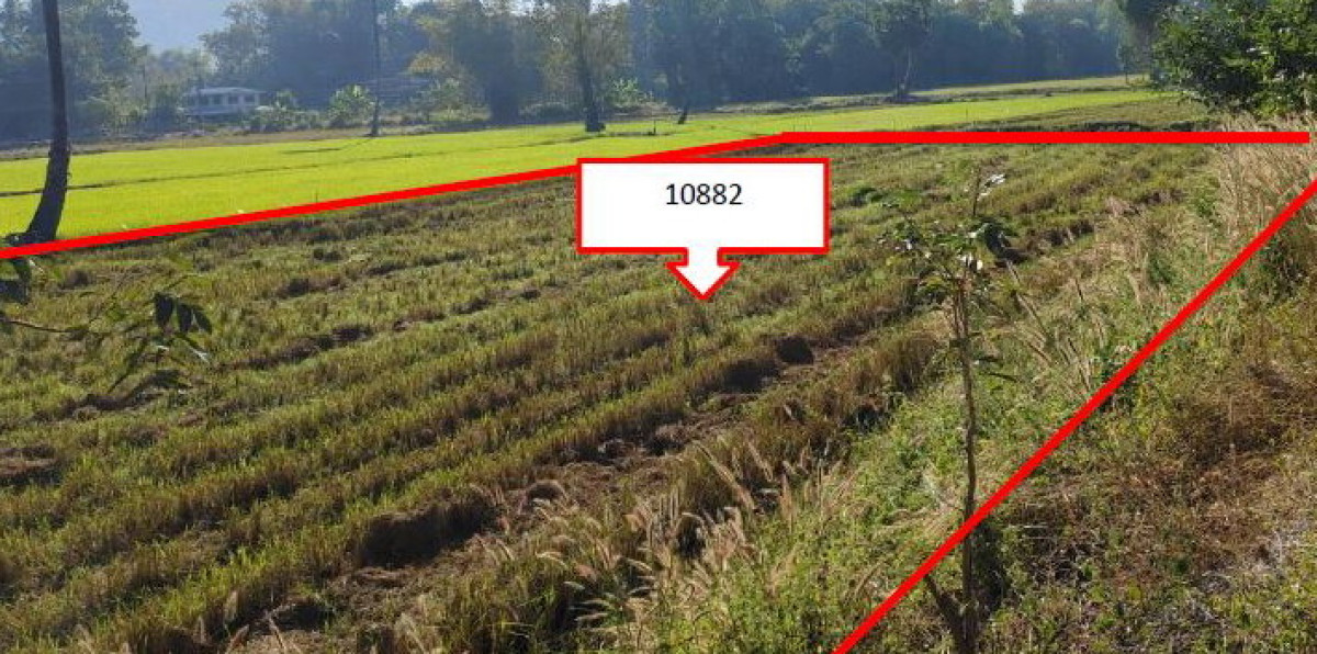 ที่ดินเปล่า พิษณุโลก วัดโบสถ์ บ้านยาง 188250