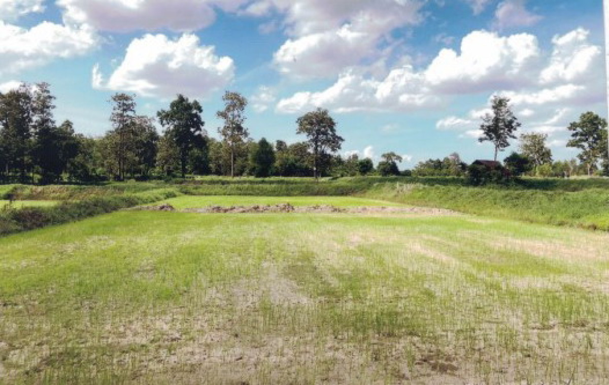 Residential land/lot Roi Et Suwannaphum Hua Chang 281775
