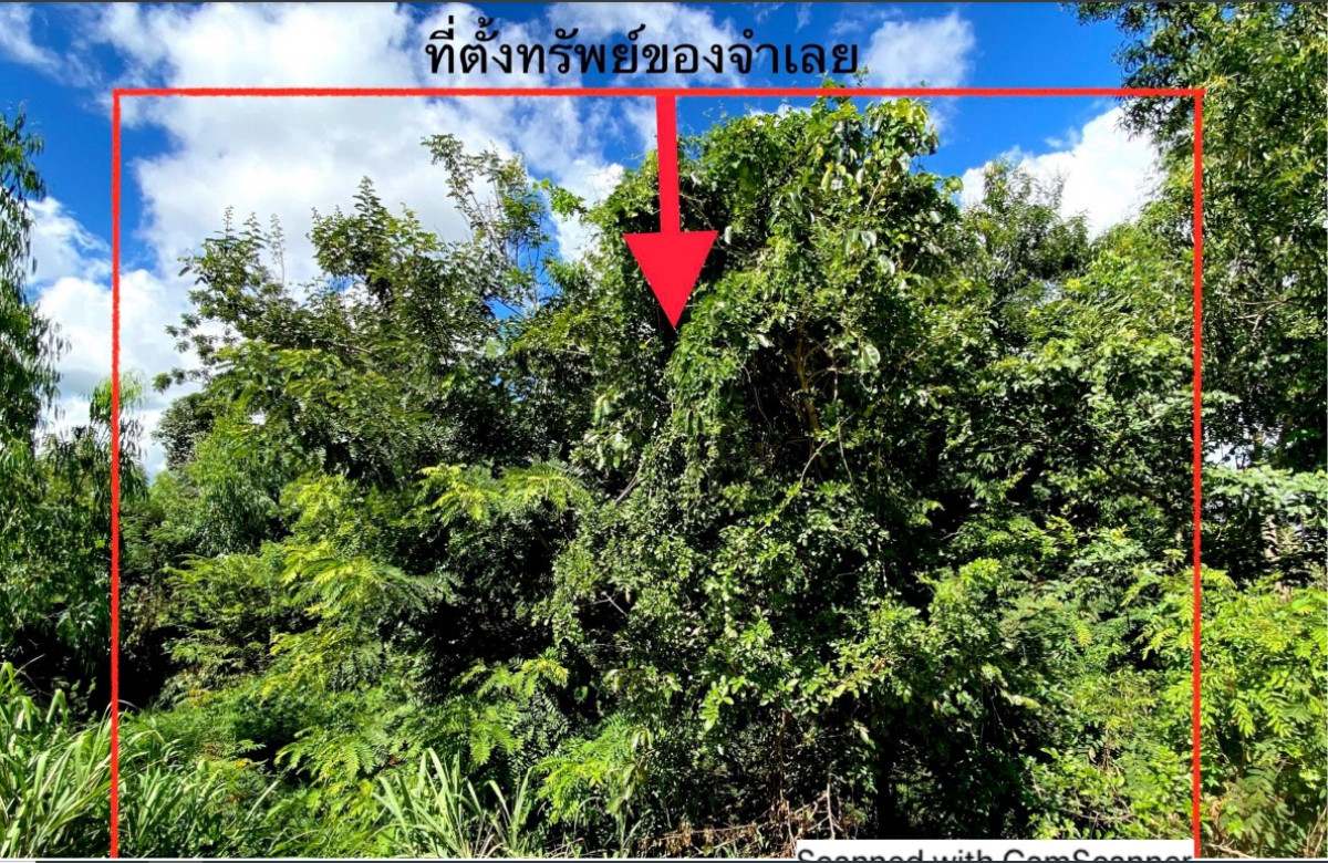 Residential land/lot Ubon Ratchathani Khueang Nai Khueang Nai 69940
