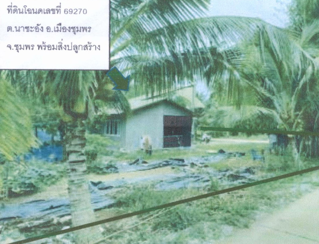 บ้านเดี่ยว ชุมพร เมืองชุมพร นาชะอัง 1057120