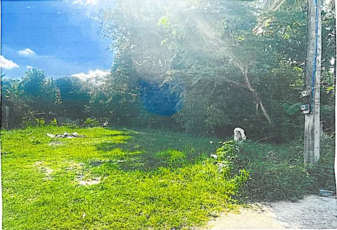 Residential land/lot Roi Et Nong Phok Kok Pho 62400