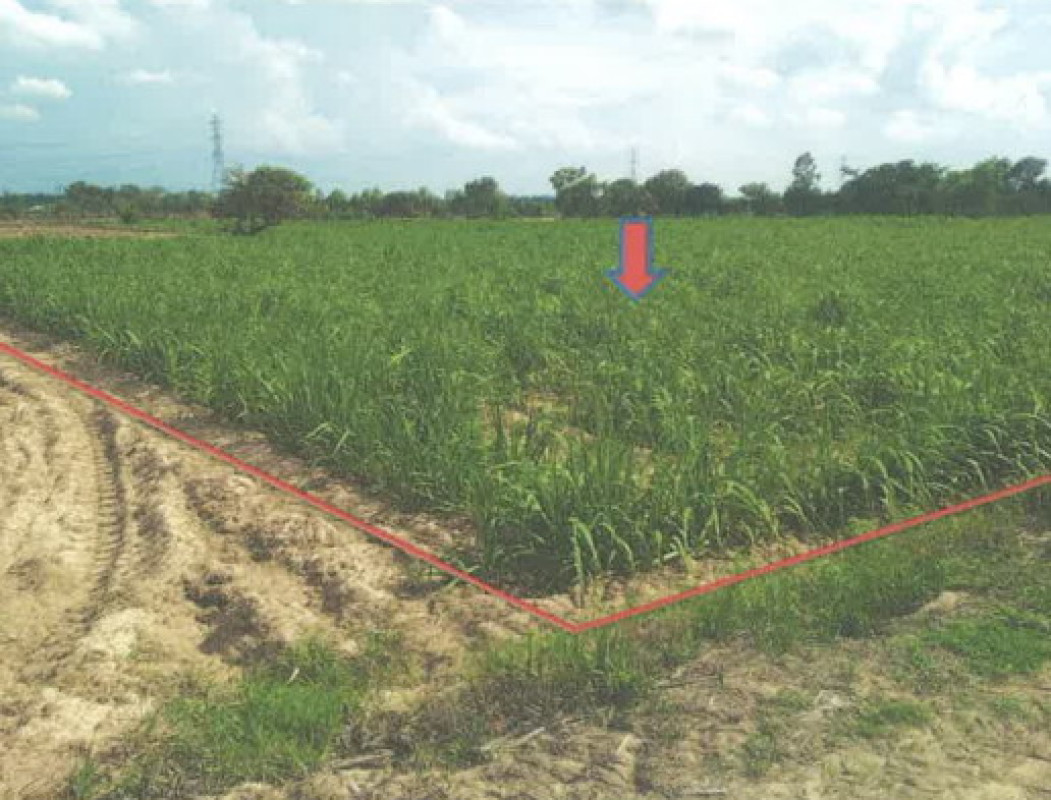 Residential land/lot Roi Et Phon Thong Pho Si Sawang 1374620