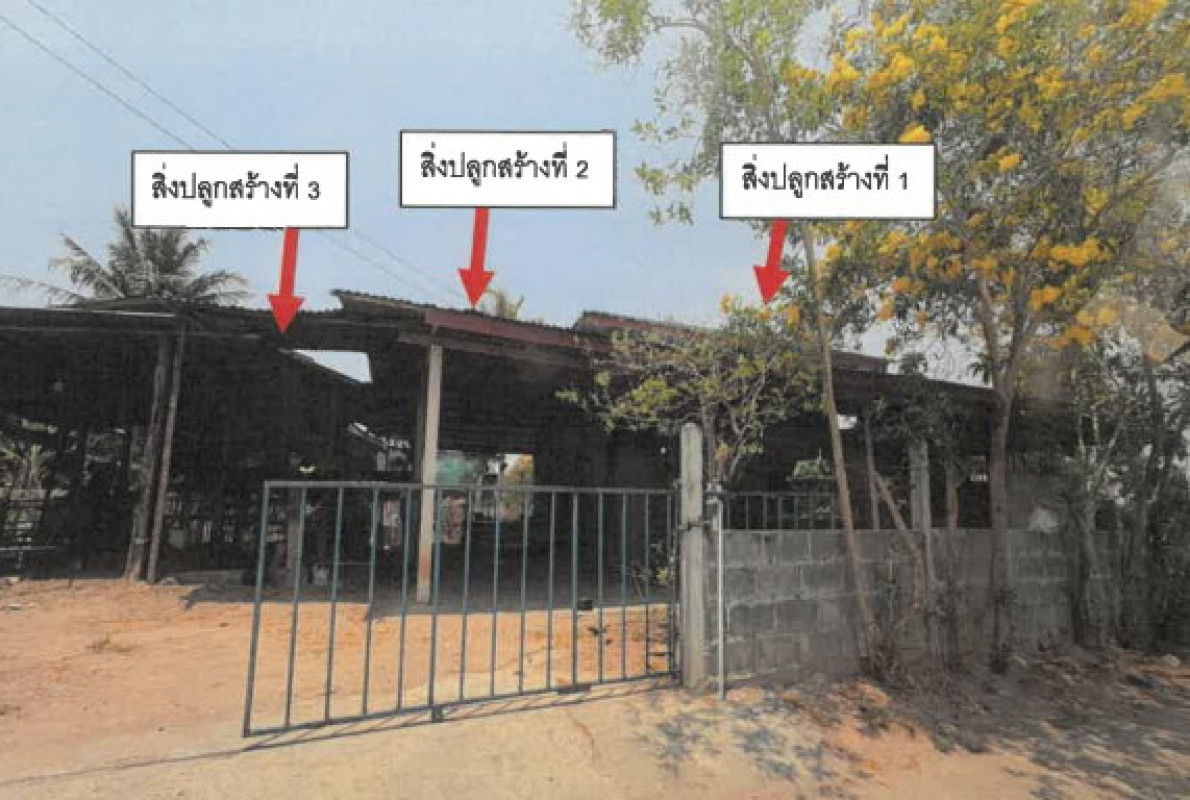 บ้านเดี่ยว ร้อยเอ็ด จตุรพักตรพิมาน ดงกลาง 449735