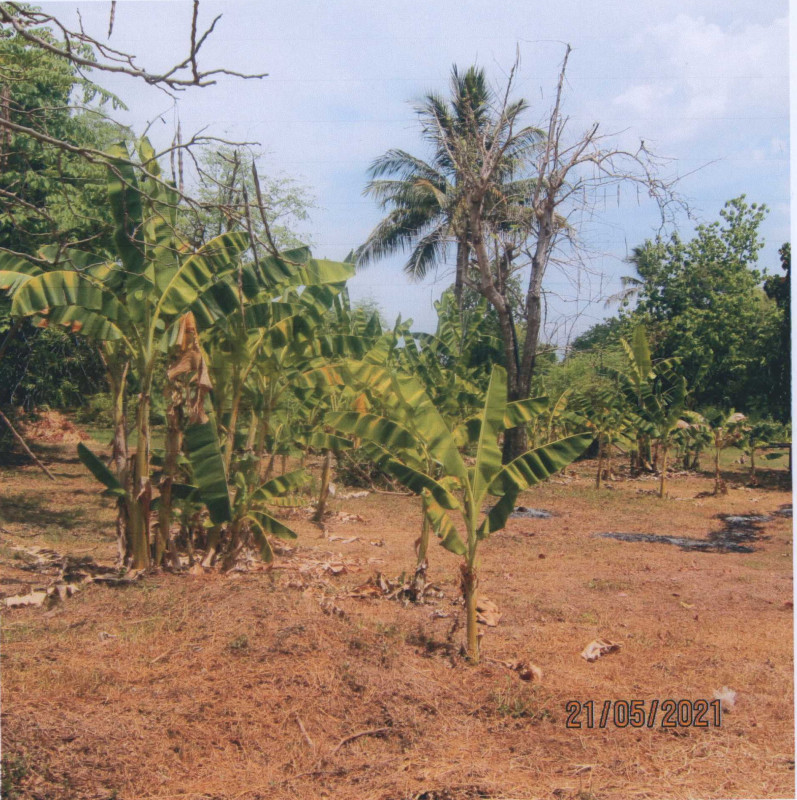 Residential land/lot Uttaradit Mueang Uttaradit Pa Sao 160250