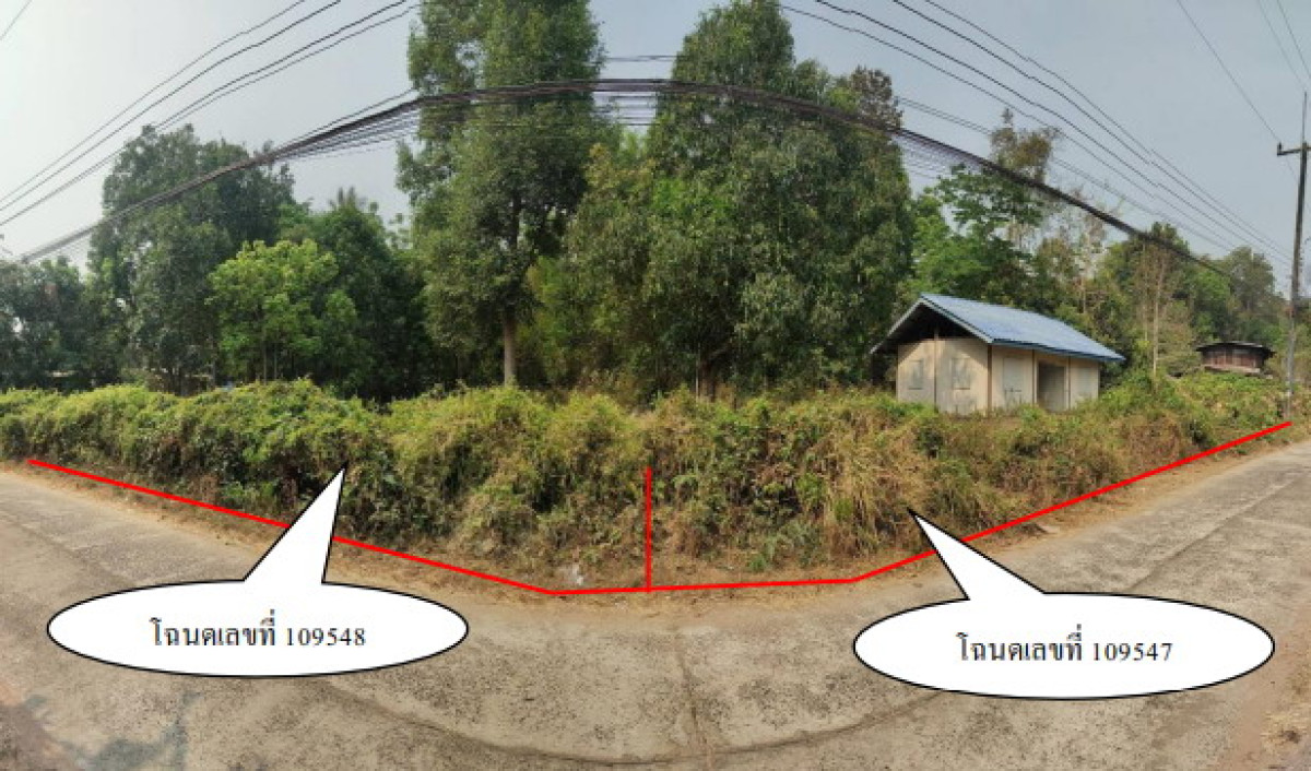 บ้านเดี่ยว อุบลราชธานี เมืองอุบลราชธานี ไร่น้อย 791034