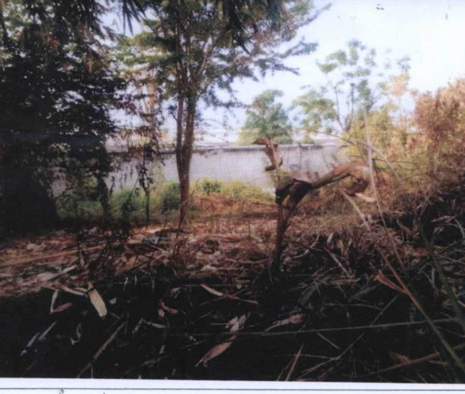 Residential land/lot Nonthaburi Bang Bua Thong Bang Bua Thong 4200000