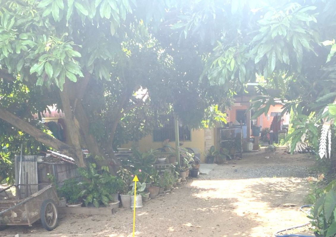 Single house Chiang Mai San Pa Tong Tha Wang Phrao 613823