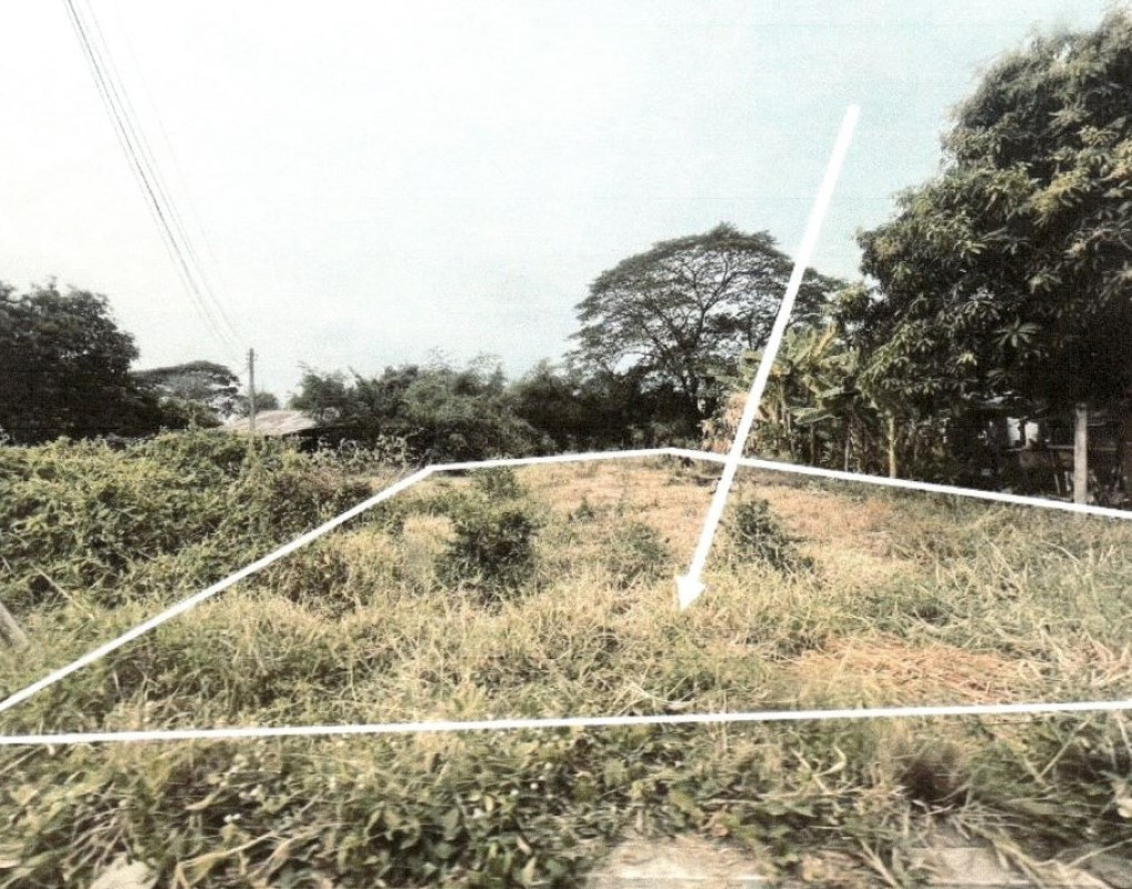 Residential land/lot Phitsanulok Bang Rakam Bo Thong 98800