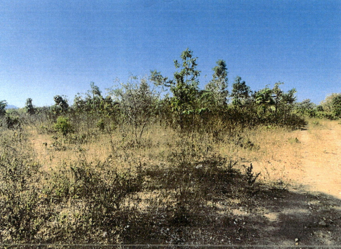 Residential land/lot Lampang Thoen Wiang Mok 402033