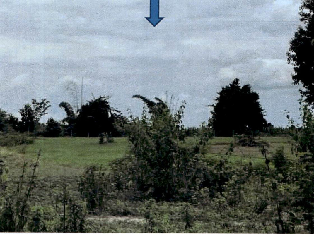 Residential land/lot Lampang Hang Chat Mueang Yao 164175