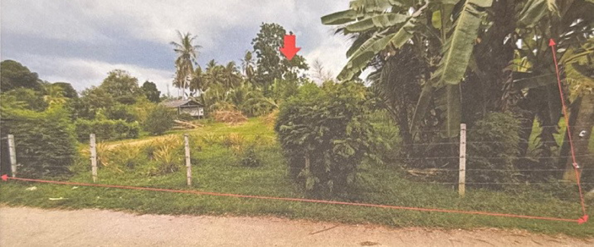 ที่ดินเปล่า ตรัง เมืองตรัง ทับเที่ยง 2855580