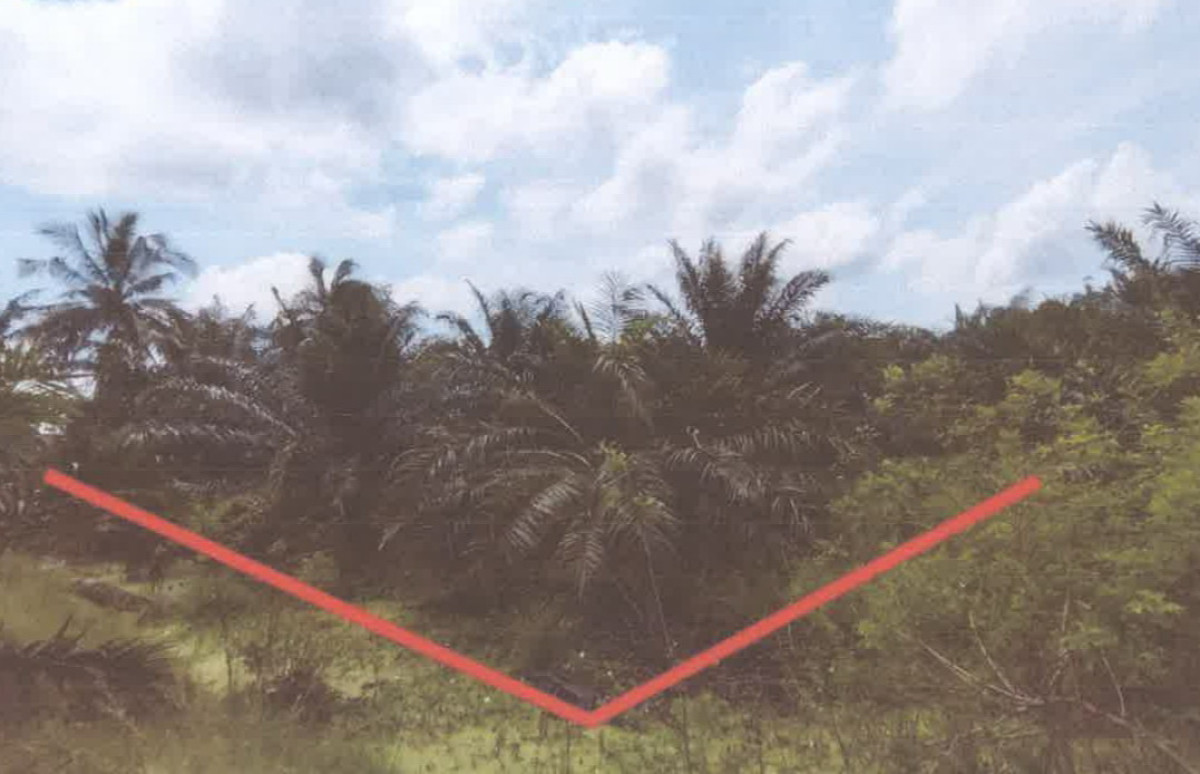 Residential land/lot Nakhon Si Thammarat Chian Yai Suea Hueng 84000