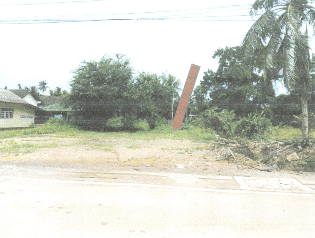 Residential land/lot Chumphon Mueang Chumphon Wang Phai 736725