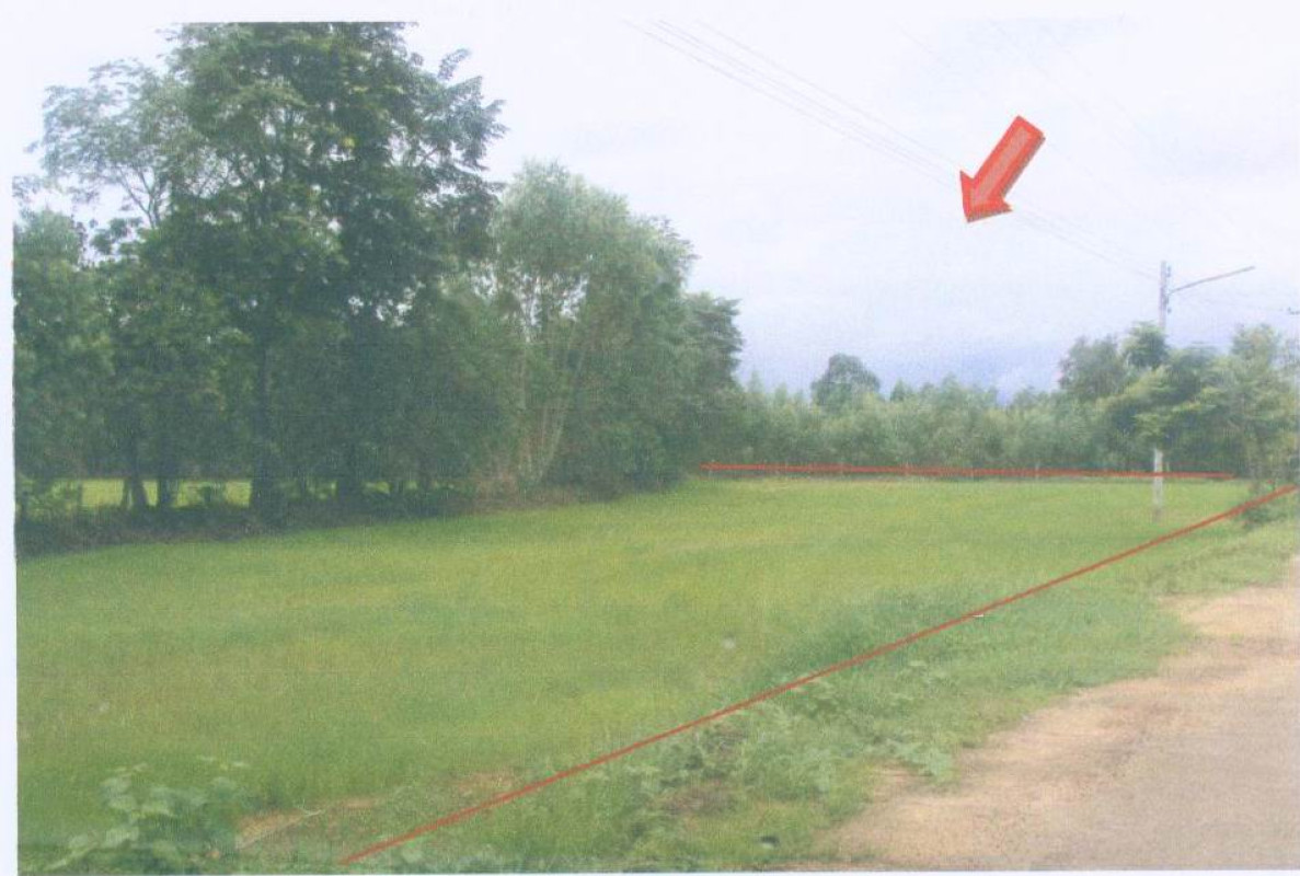 Residential land/lot Roi Et Kaset Wisai Kaset Wisai 1105000