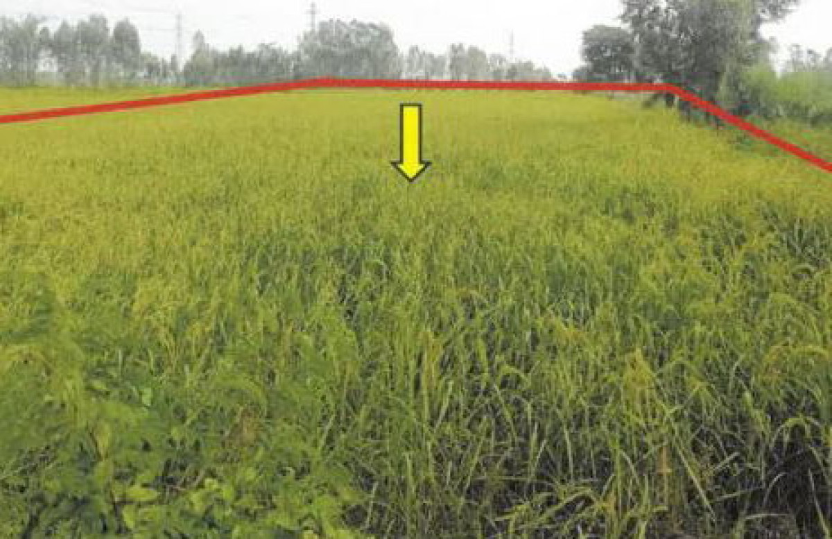 Residential land/lot Roi Et Thawat Buri Niwet 584150