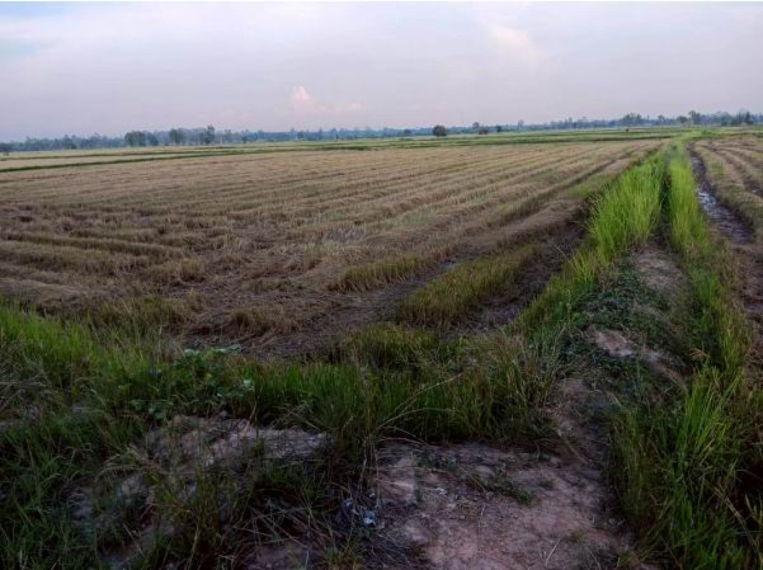 Residential land/lot Roi Et Chiang Khwan Phlapphla 468750