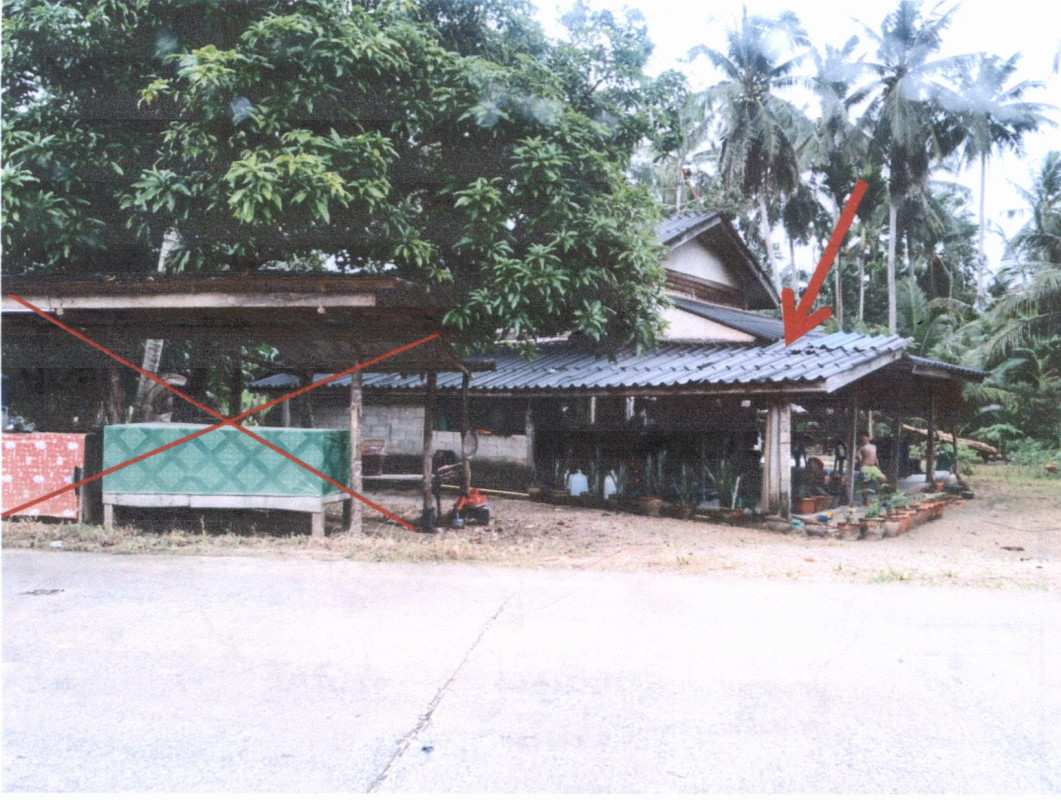 บ้านเดี่ยว ชุมพร ท่าแซะ รับร่อ 595720