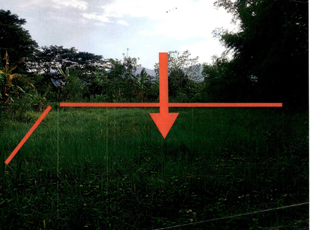 Residential land/lot Lampang Mueang Pan Ban Kho 33500