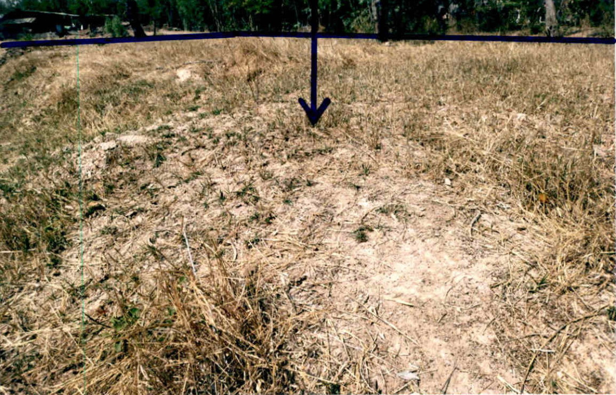 Residential land/lot Nakhon Ratchasima Non Daeng Sam Phaniang 64650