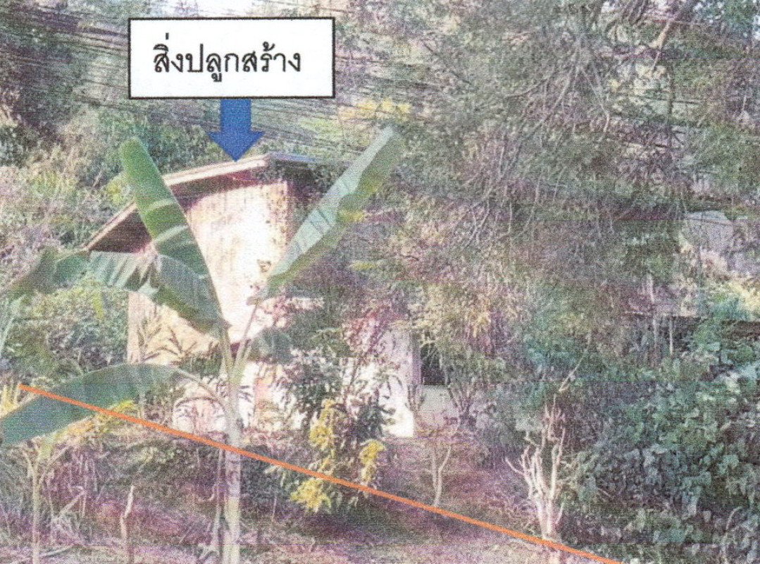 บ้านเดี่ยว เลย เมืองเลย เสี้ยว 845340