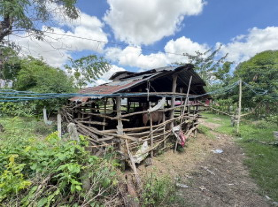 บ้านเดี่ยว ร้อยเอ็ด ปทุมรัตต์ ดอกล้ำ 51700