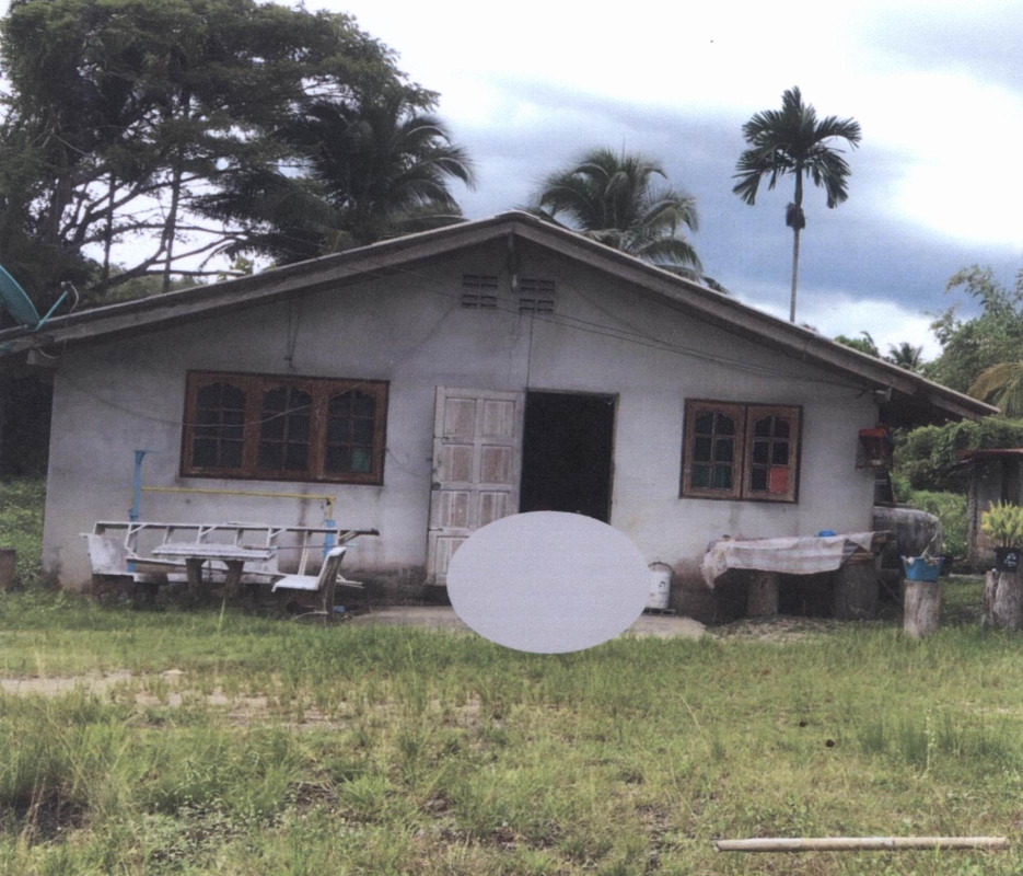 Single house Nakhon Si Thammarat Phra Phrom Chang Sai 355670