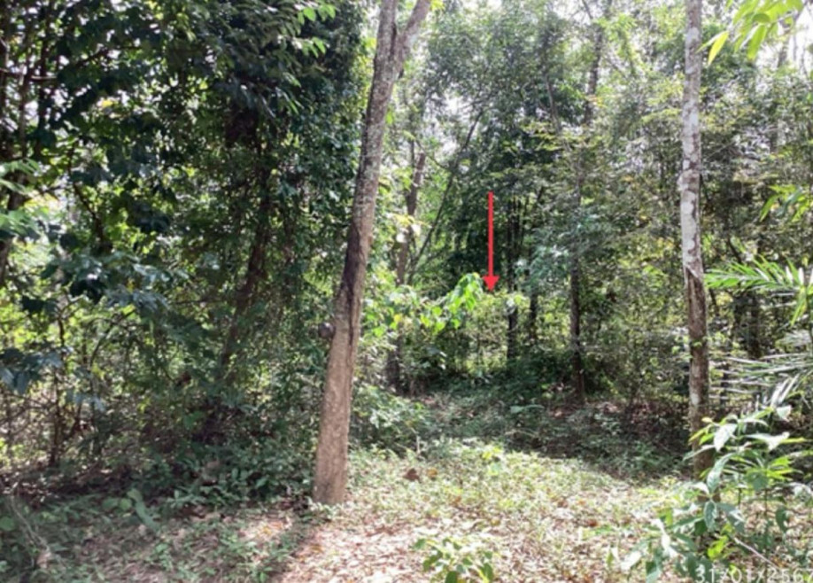 Residential land/lot Phatthalung Pak Phayun Han Thao 28000000