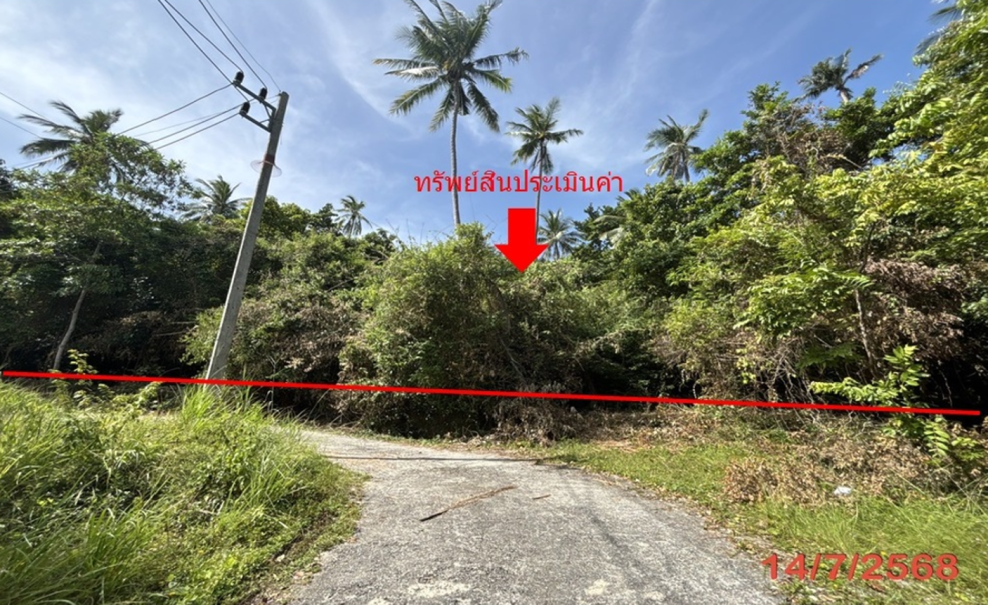 ที่ดินเปล่า สุราษฎร์ธานี เกาะสมุย ตลิ่งงาม 20902000