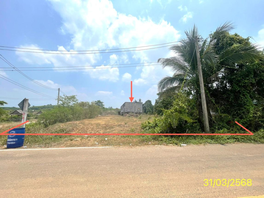 Plant/Storage Trang Palian Bang Duan 1909000