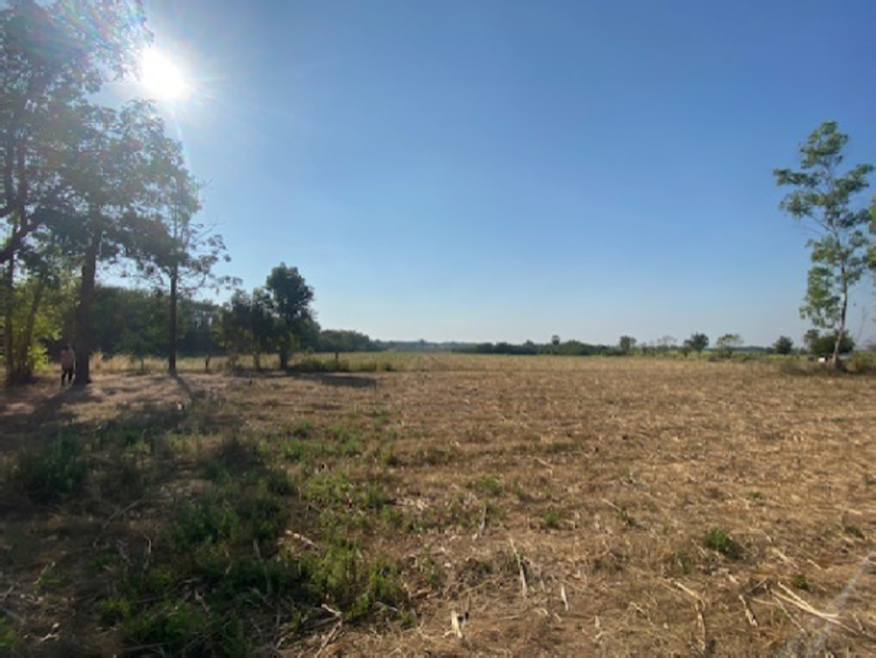 Residential land/lot Phetchabun Wichian Buri Phu Kham 7500000