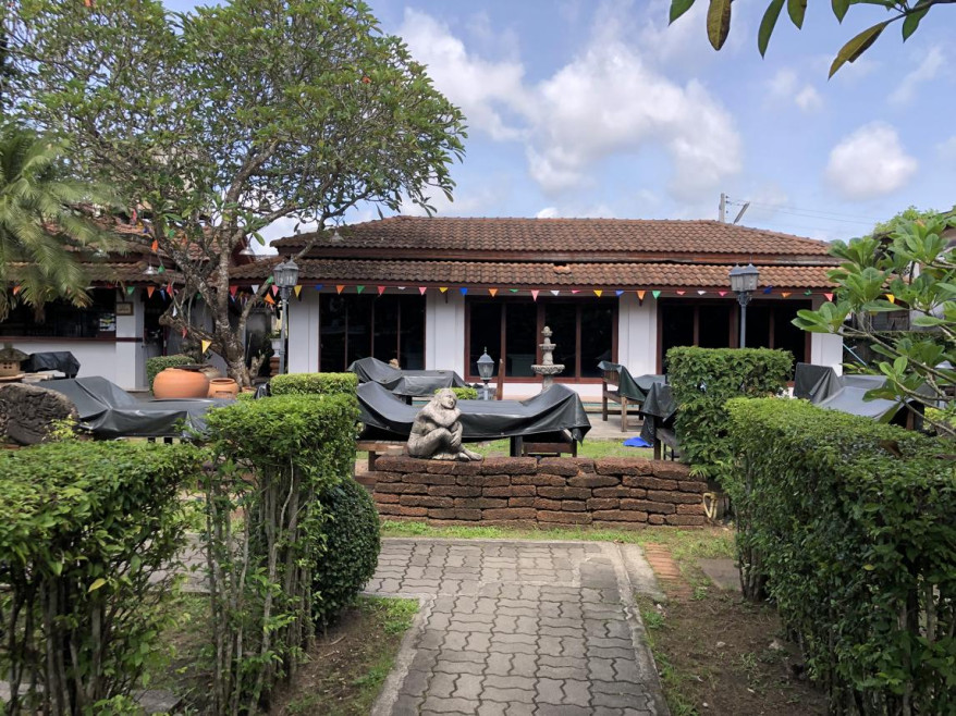Misc. Surat Thani Mueang Surat Thani Makham Tia 35000000