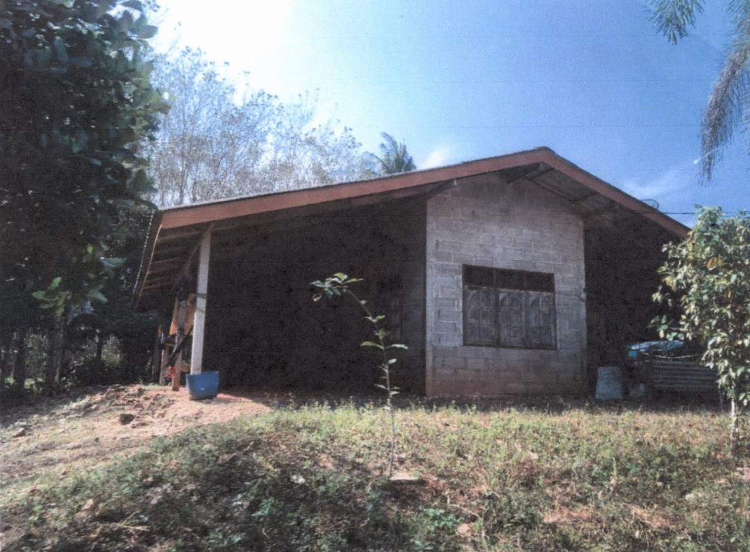 Single house Chumphon Pathio Thale Sap 357648