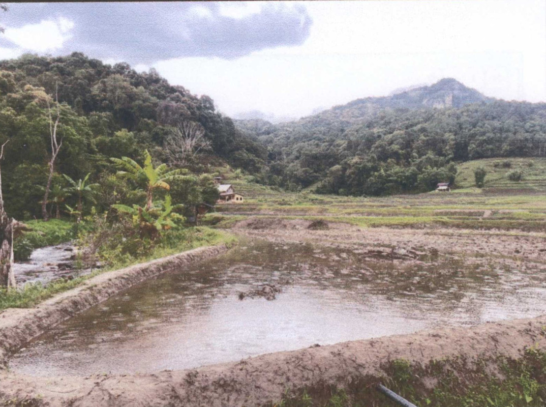 ที่ดินเปล่า เชียงใหม่ จอมทอง บ้านหลวง 249750