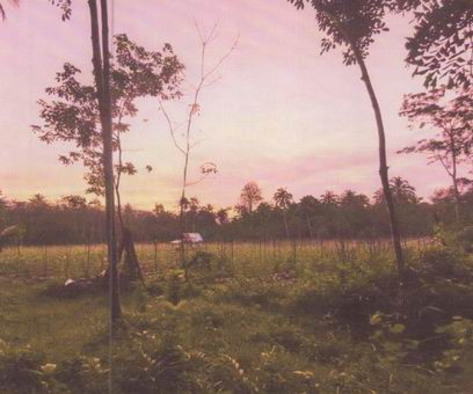Residential land/lot Songkhla Hat Yai Tha Kham 1736100