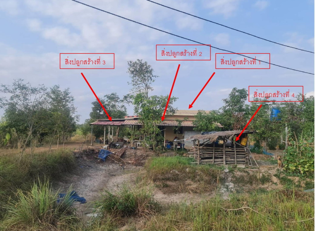 บ้านเดี่ยว สกลนคร พังโคน ต้นผึ้ง 743498