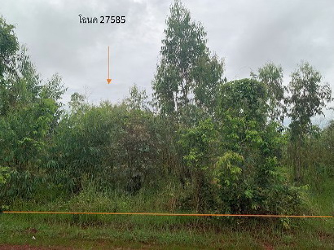 ที่ดินเปล่า สกลนคร พรรณานิคม เชิงชุม 266700