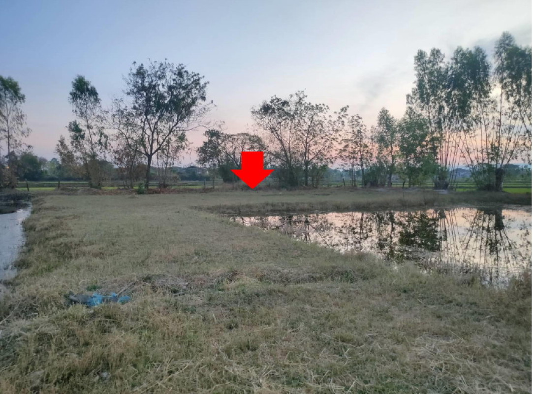 ที่ดินเปล่า สกลนคร เมืองสกลนคร ธาตุเชิงชุม 116250