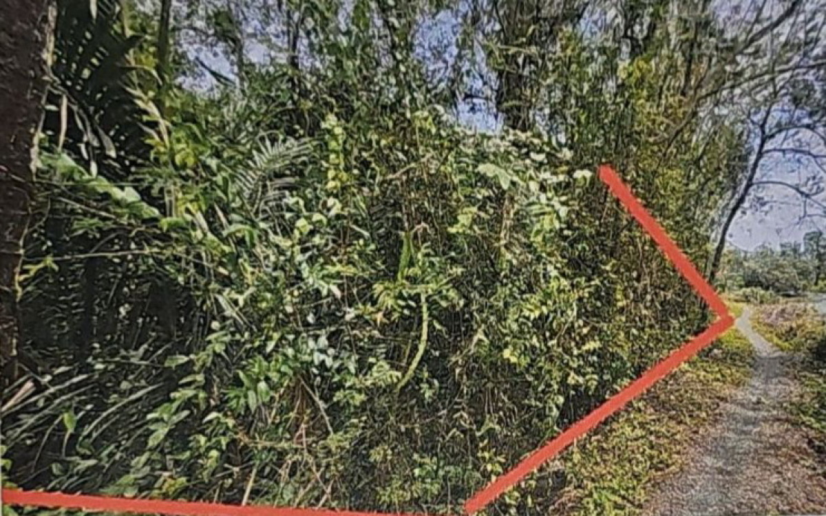 Residential land/lot Nakhon Si Thammarat Pak Phanang Pak Phanang Fang Tawan Ok 71250